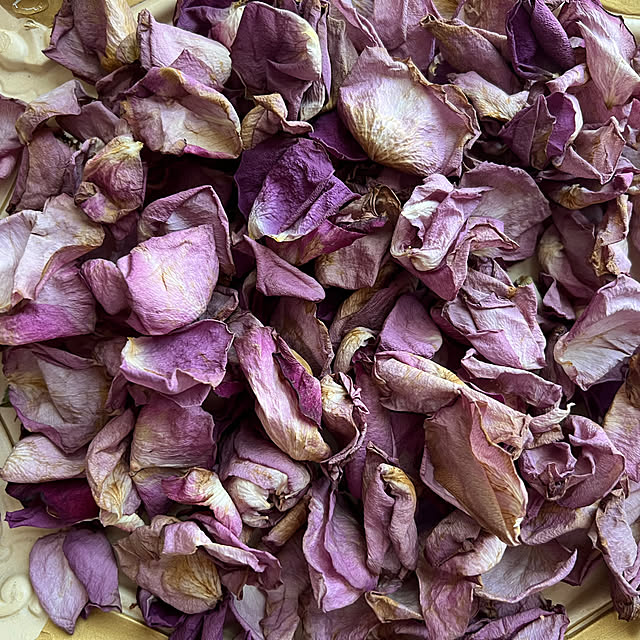 AYUKOさんの部屋