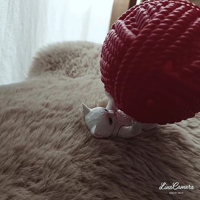 Ohigeさんの部屋