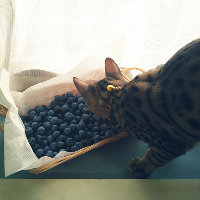 tenさんの実例写真