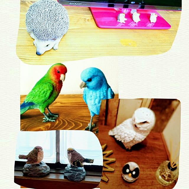 0c.c0さんの実例写真