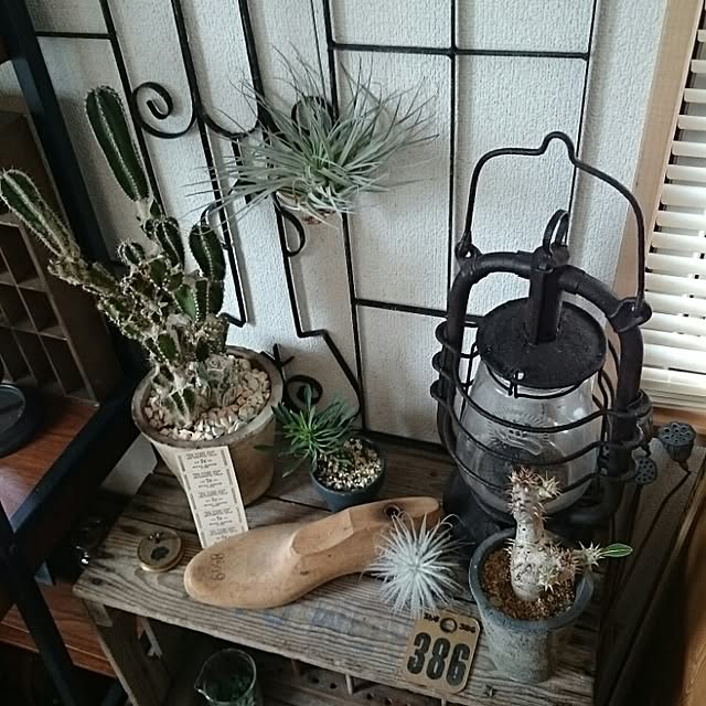 osumiさんの実例写真