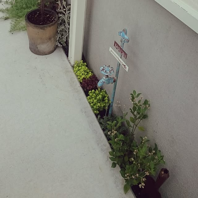 whitebirdさんの実例写真