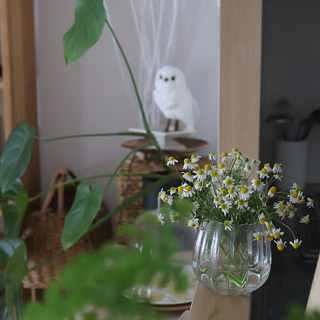 Summerさんの部屋