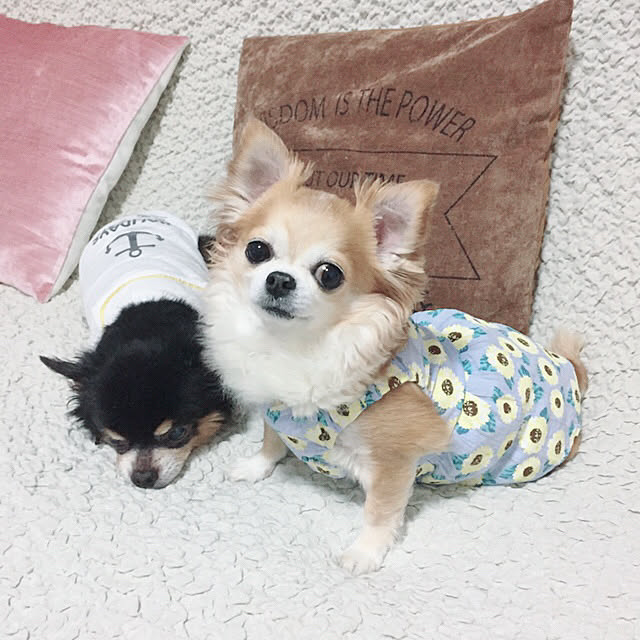 okunaga0521さんの実例写真