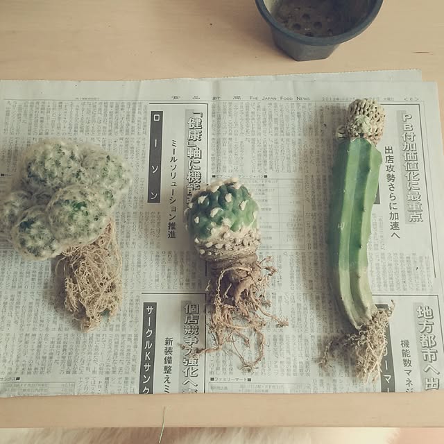 uniさんの実例写真