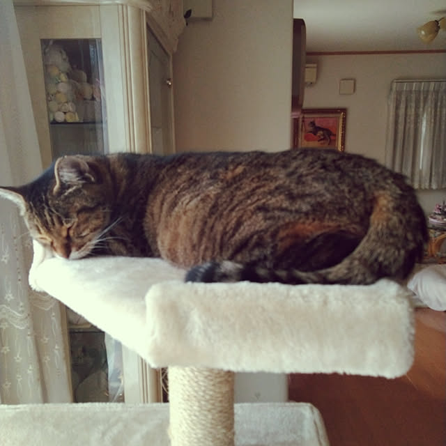 lilyさんの実例写真