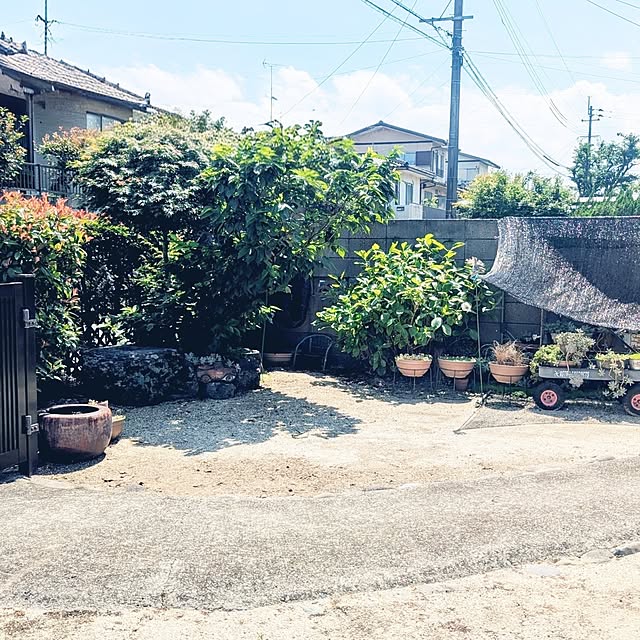 ki-no-koさんの実例写真