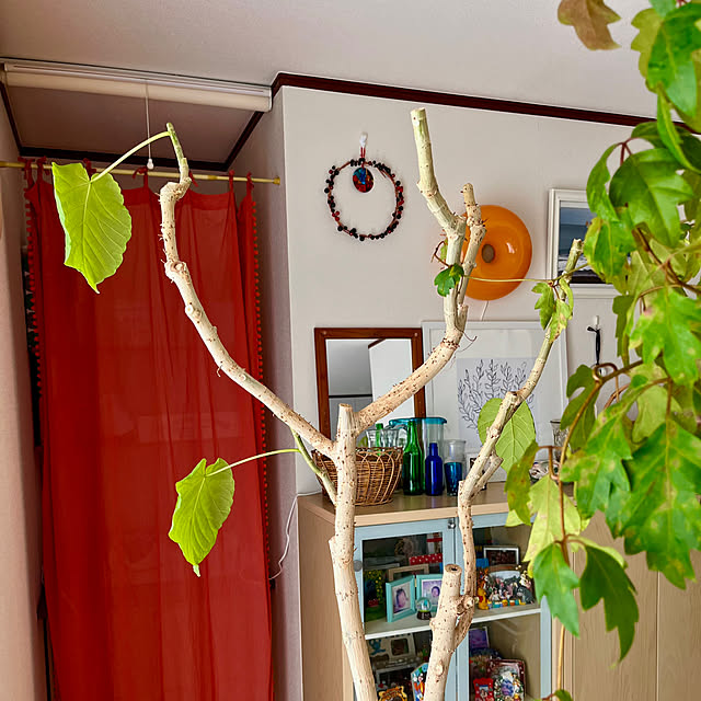 65-24oxoさんの部屋