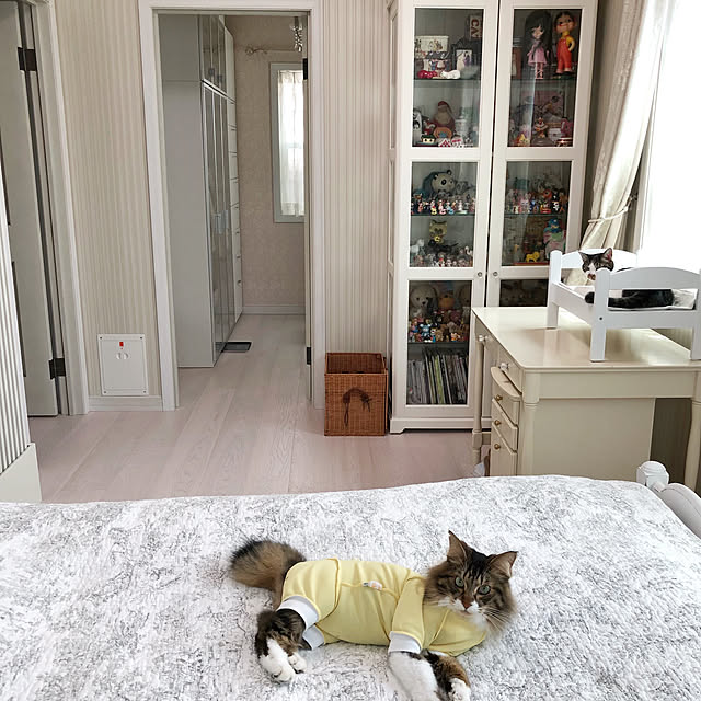 yuchiさんの実例写真