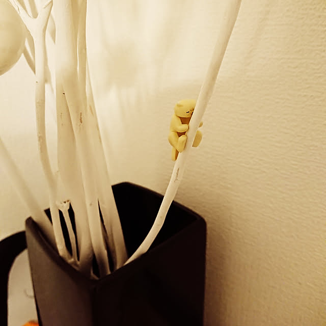 momomoさんの実例写真
