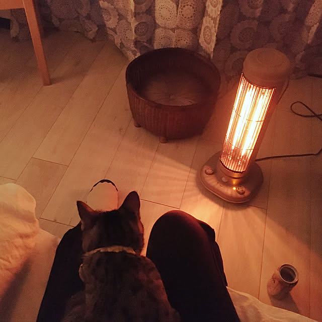Mさんの実例写真