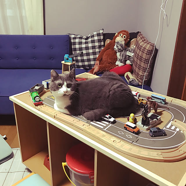 hacchiさんの実例写真