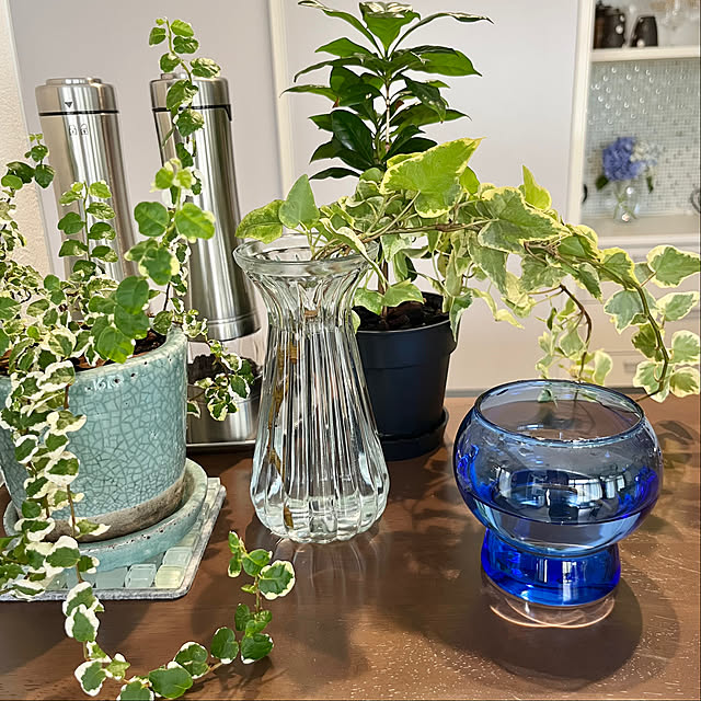 Hannahさんの部屋