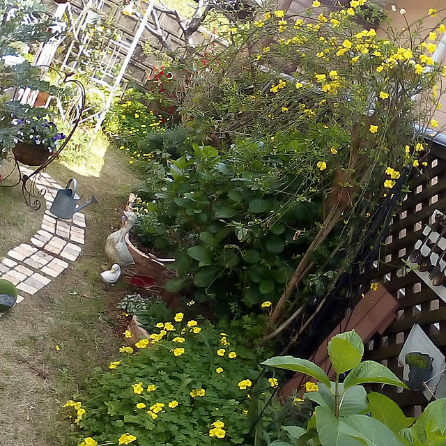 mariagardenさんの実例写真