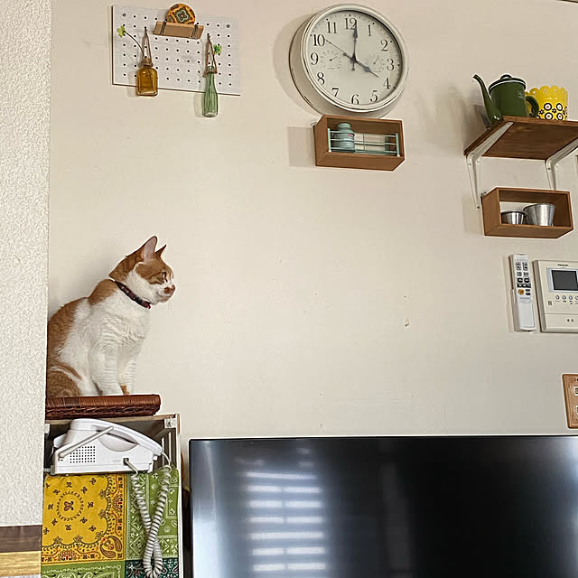 SHIHOさんの実例写真
