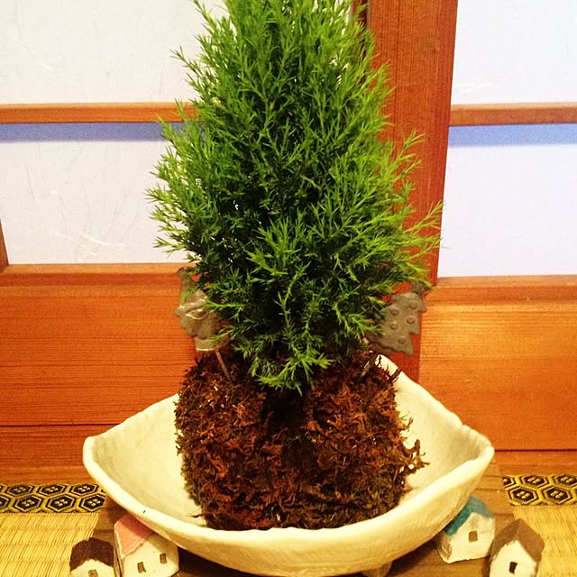 chiro-kutirさんの実例写真