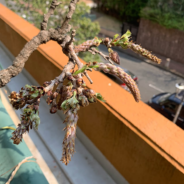 Aqettyさんの部屋