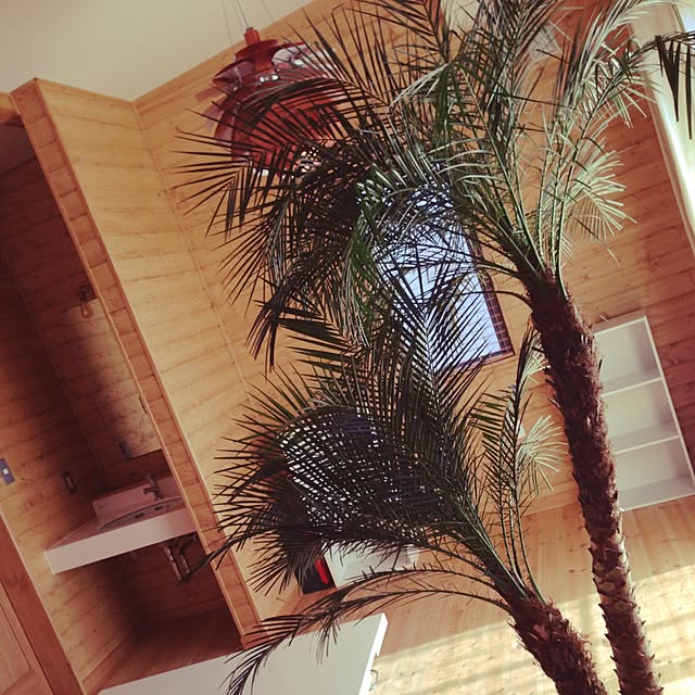 Mikiさんの実例写真