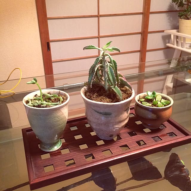 kayokoさんの実例写真