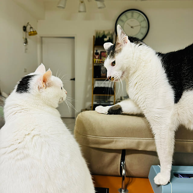 pcu110さんの実例写真