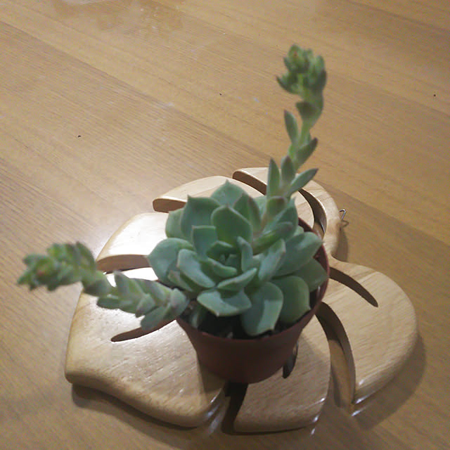 nanaさんの実例写真