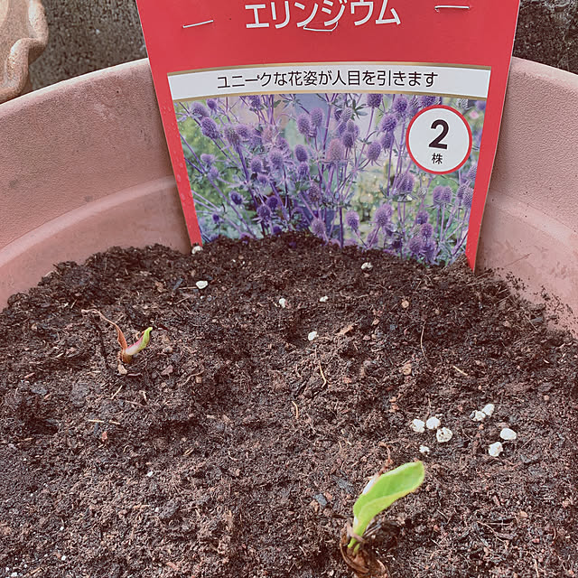 maymamさんの実例写真