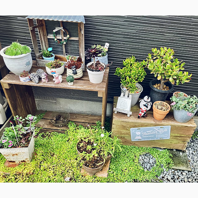 CoCo0617さんの部屋