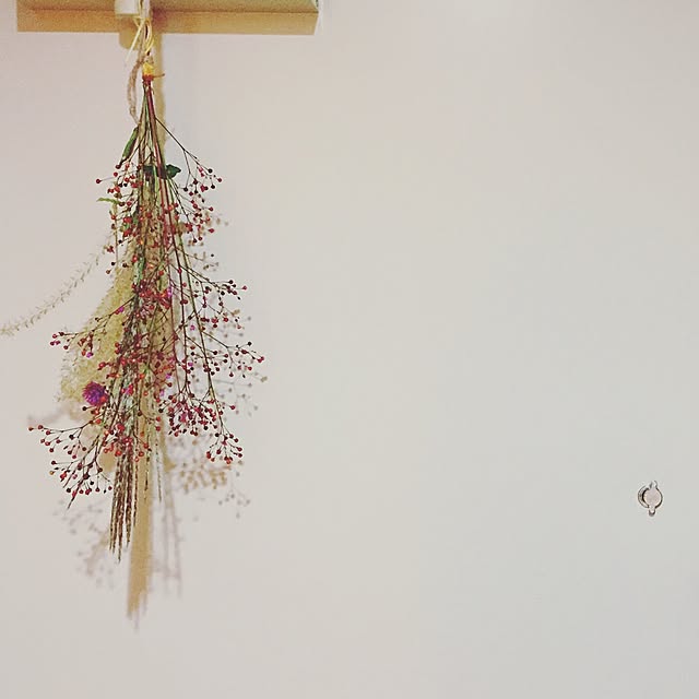 nokkkonさんの実例写真