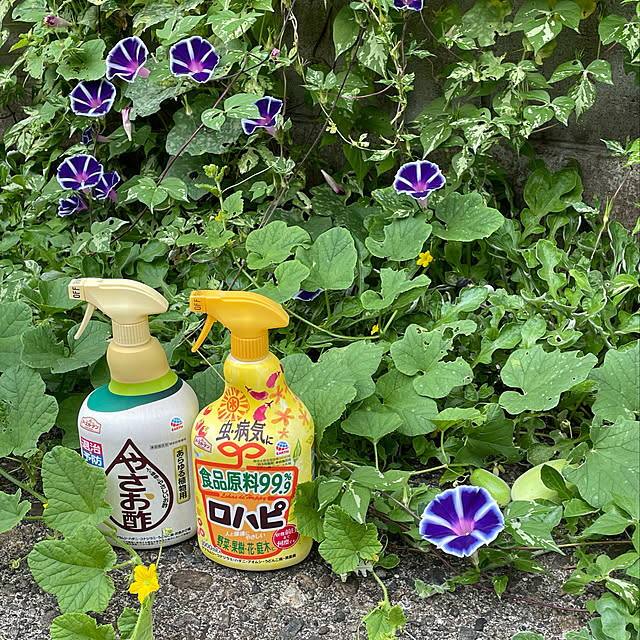 nobikoさんの実例写真