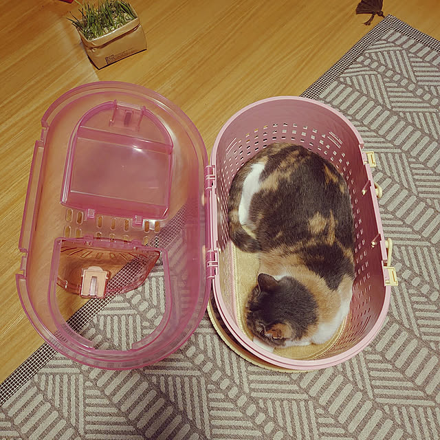fukuさんの実例写真