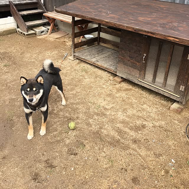 K.hmhさんの実例写真