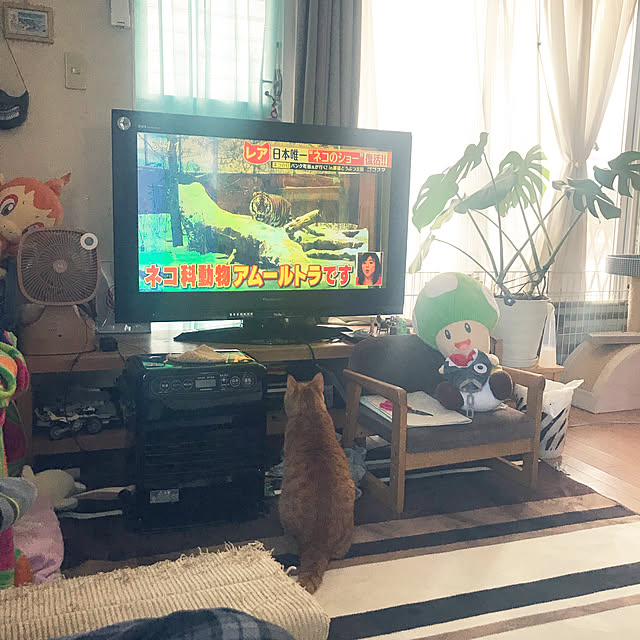 kou-kitiさんの実例写真