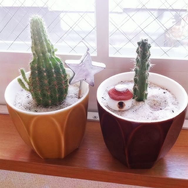 実例写真