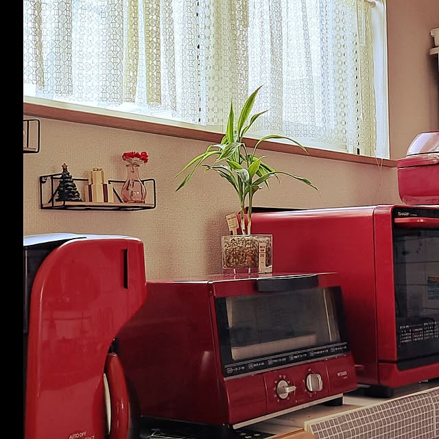 cocooさんの実例写真
