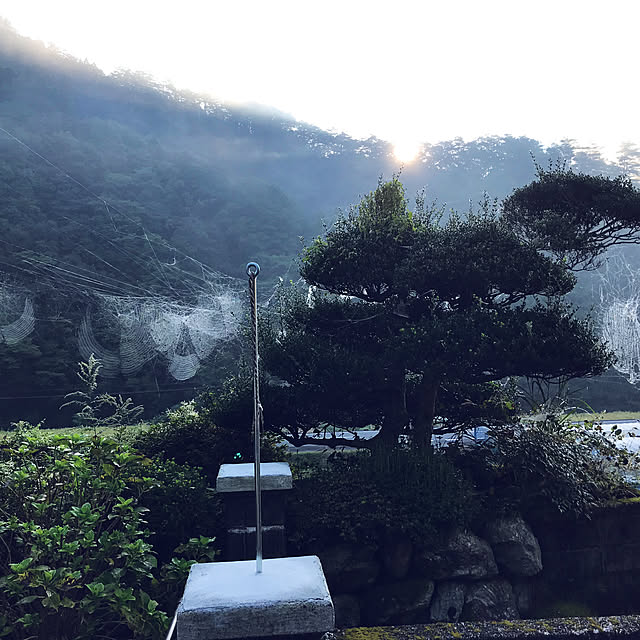 kanaさんの実例写真