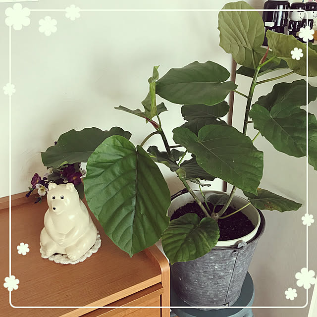 makkoさんの実例写真
