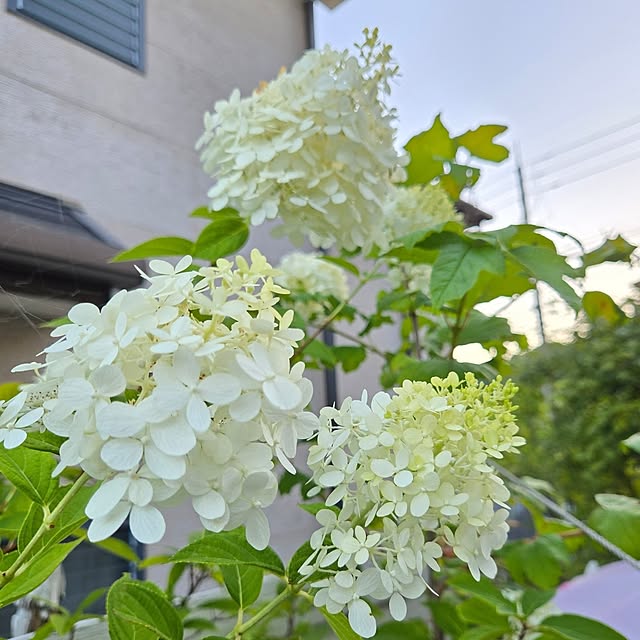 min_nimさんの部屋