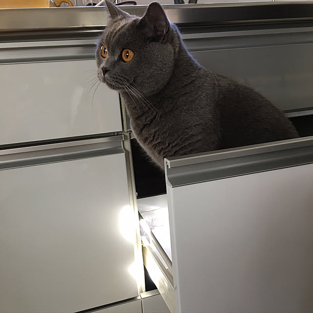 pochacoさんの実例写真