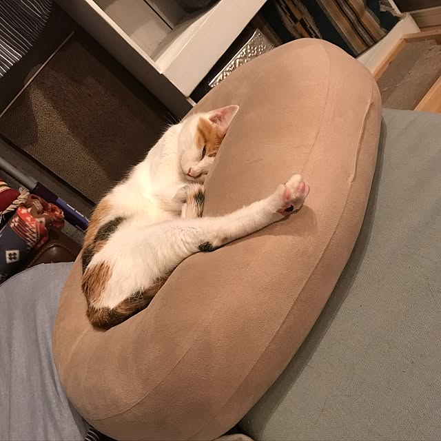 ziziguguさんの実例写真