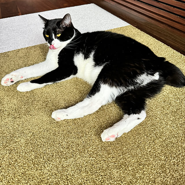 porinさんの部屋