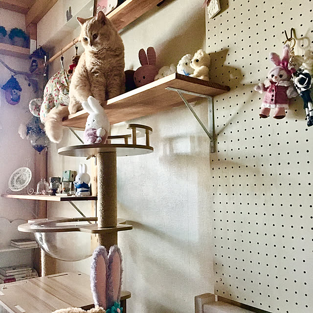 naokoさんの部屋