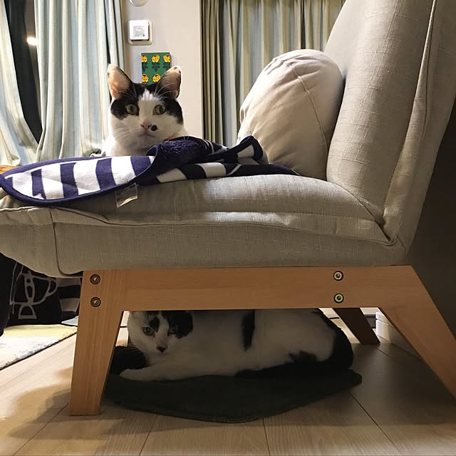 hanaさんの実例写真
