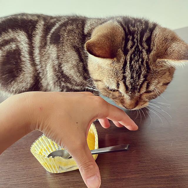 chiiさんの部屋
