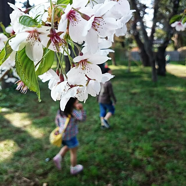 sym.さんの実例写真