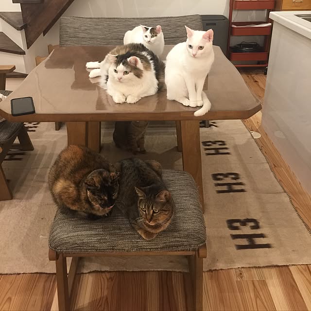 paipan720さんの実例写真