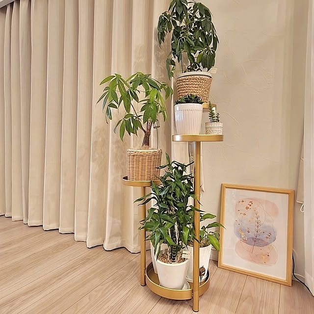 pinonさんの部屋