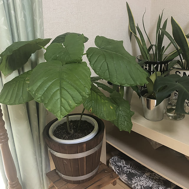 rmkさんの実例写真