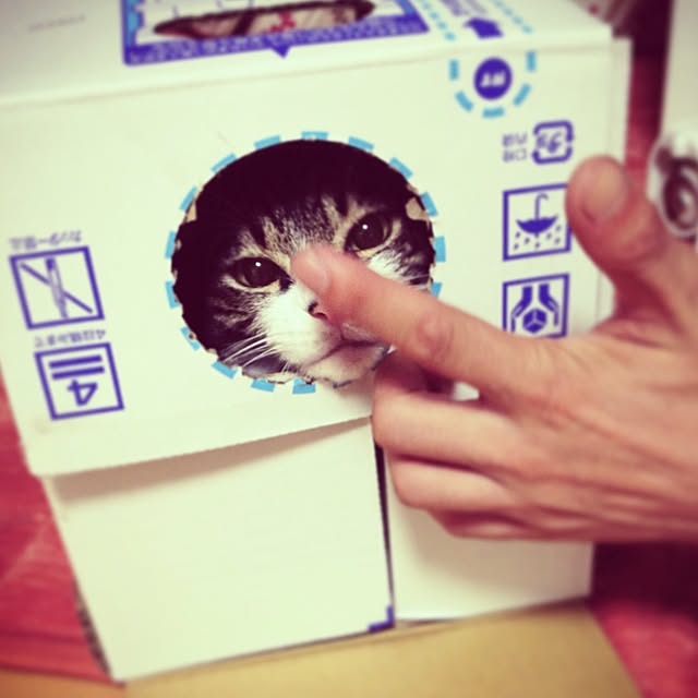 pinokoさんの実例写真