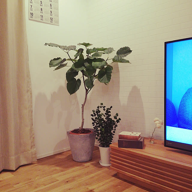 life...さんの実例写真
