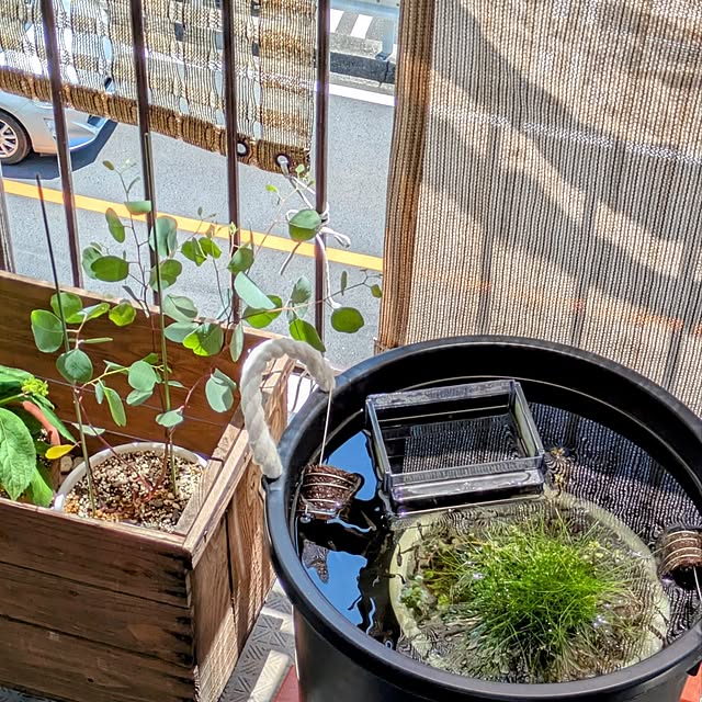 mi-saさんの部屋